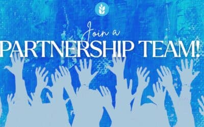 Join a Sunday team today!